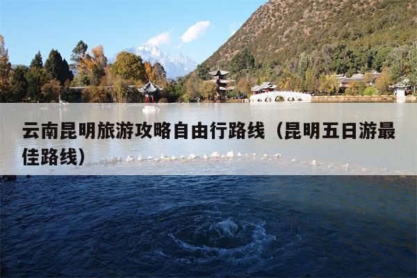 云南昆明旅游攻略自由行路线（昆明五日游最佳路线）