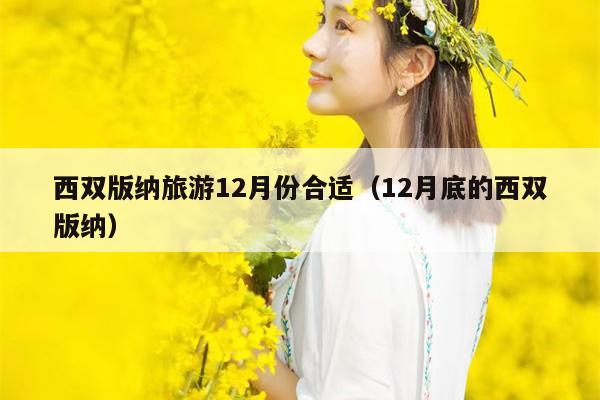 西双版纳旅游12月份合适（12月底的西双版纳）