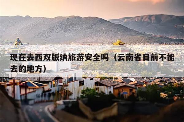 现在去西双版纳旅游安全吗（云南省目前不能去的地方）