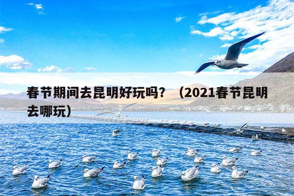 春节期间去昆明好玩吗？（2021春节昆明去哪玩）