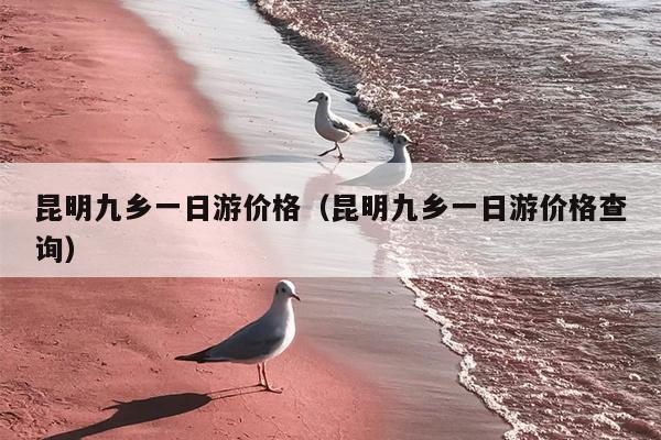 昆明九乡一日游价格（昆明九乡一日游价格查询）