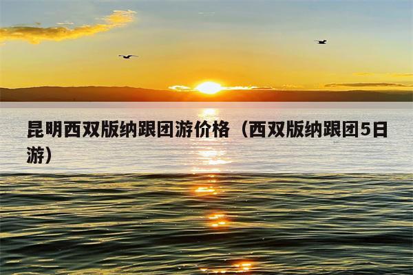 昆明西双版纳跟团游价格（西双版纳跟团5日游）