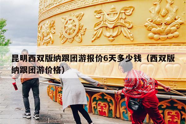 昆明西双版纳跟团游报价6天多少钱（西双版纳跟团游价格）