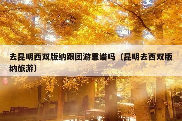 去昆明西双版纳跟团游靠谱吗（昆明去西双版纳旅游）