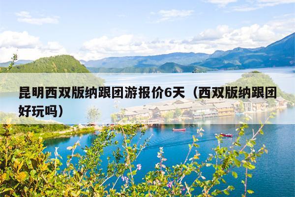 昆明西双版纳跟团游报价6天（西双版纳跟团好玩吗）