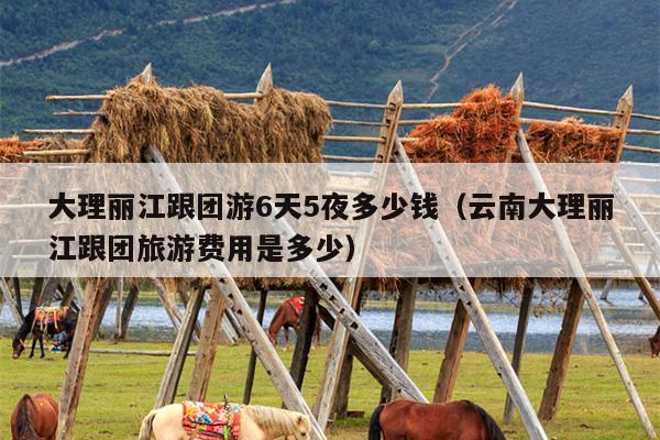 大理丽江跟团游6天5夜多少钱（云南大理丽江跟团旅游费用是多少）