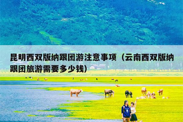 昆明西双版纳跟团游注意事项（云南西双版纳跟团旅游需要多少钱）