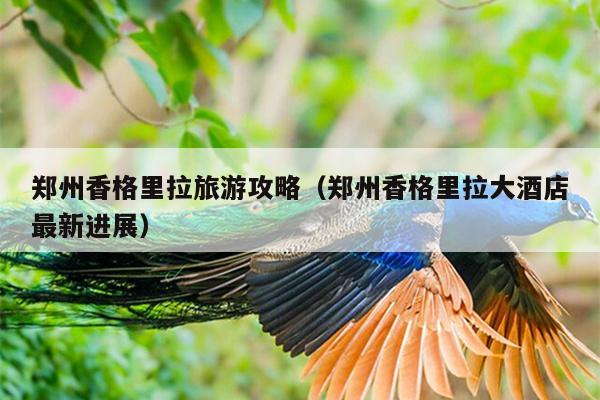 郑州香格里拉旅游攻略（郑州香格里拉大酒店最新进展）