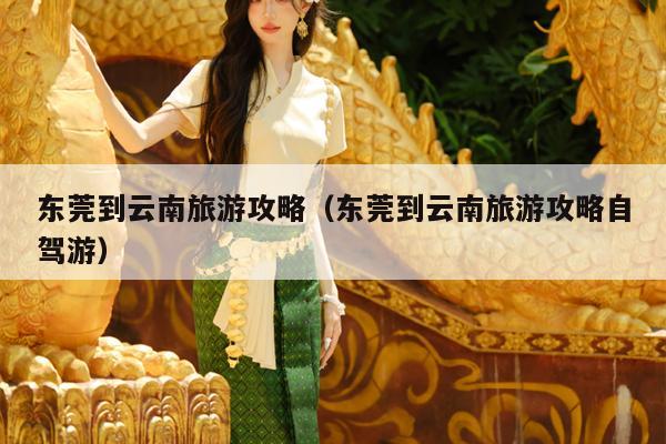 东莞到云南旅游攻略（东莞到云南旅游攻略自驾游）