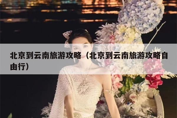 北京到云南旅游攻略（北京到云南旅游攻略自由行）