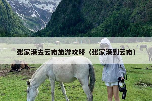 张家港去云南旅游攻略（张家港到云南）