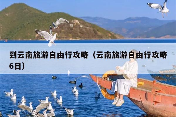 到云南旅游自由行攻略（云南旅游自由行攻略6日）