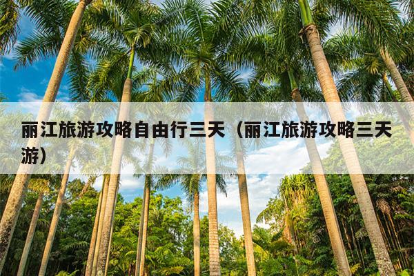 丽江旅游攻略自由行三天（丽江旅游攻略三天游）