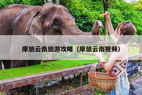 摩旅云南旅游攻略（摩旅云南视频）