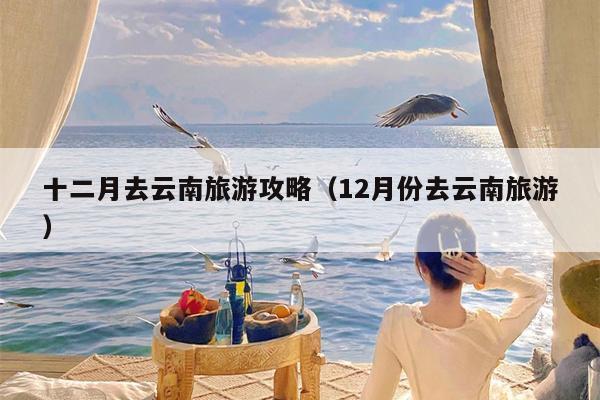 十二月去云南旅游攻略（12月份去云南旅游）