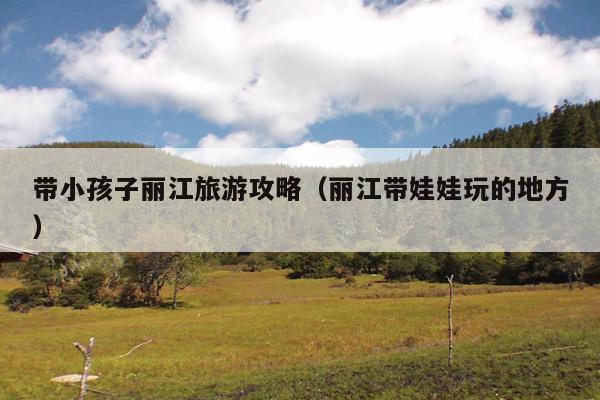 带小孩子丽江旅游攻略（丽江带娃娃玩的地方）