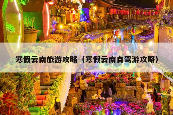 寒假云南旅游攻略（寒假云南自驾游攻略）