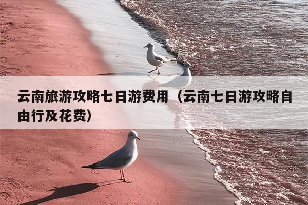 云南旅游攻略七日游费用（云南七日游攻略自由行及花费）