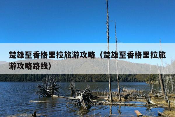 楚雄至香格里拉旅游攻略（楚雄至香格里拉旅游攻略路线）