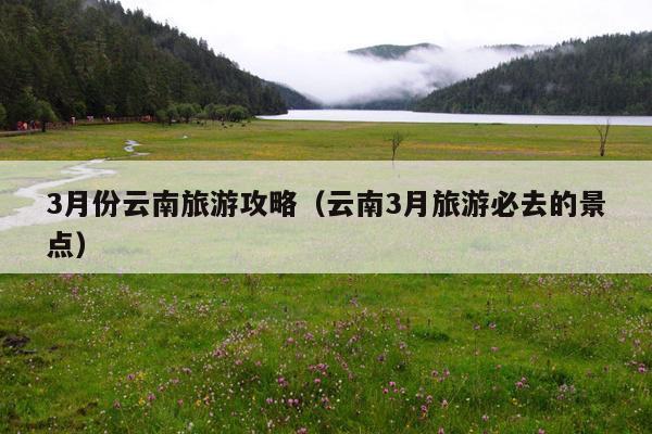 3月份云南旅游攻略（云南3月旅游必去的景点）