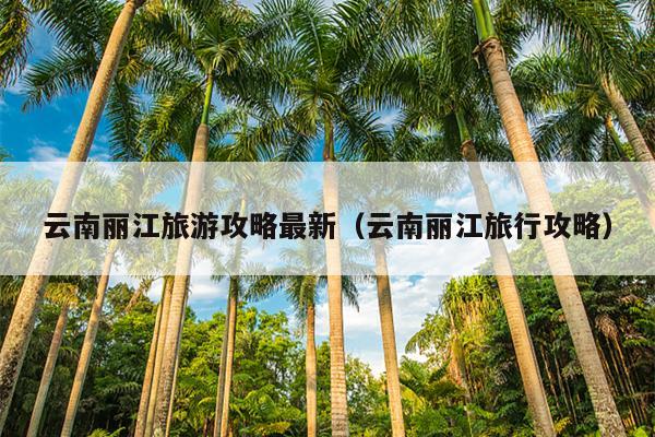 云南丽江旅游攻略最新（云南丽江旅行攻略）