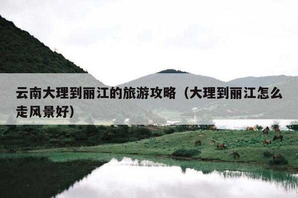 云南大理到丽江的旅游攻略（大理到丽江怎么走风景好）
