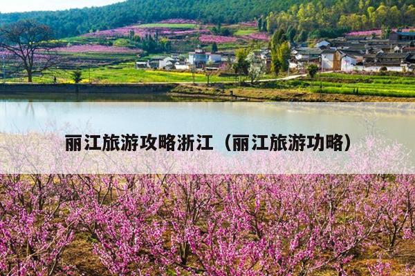 丽江旅游攻略浙江（丽江旅游功略）
