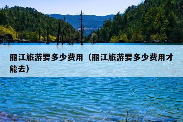 丽江旅游要多少费用（丽江旅游要多少费用才能去）
