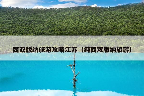 西双版纳旅游攻略江苏（纯西双版纳旅游）