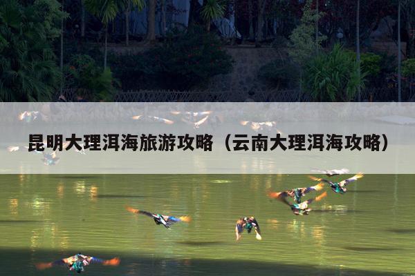昆明大理洱海旅游攻略（云南大理洱海攻略）