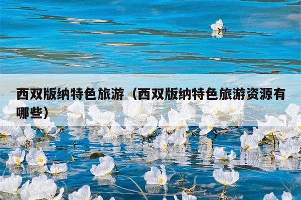 西双版纳特色旅游（西双版纳特色旅游资源有哪些）