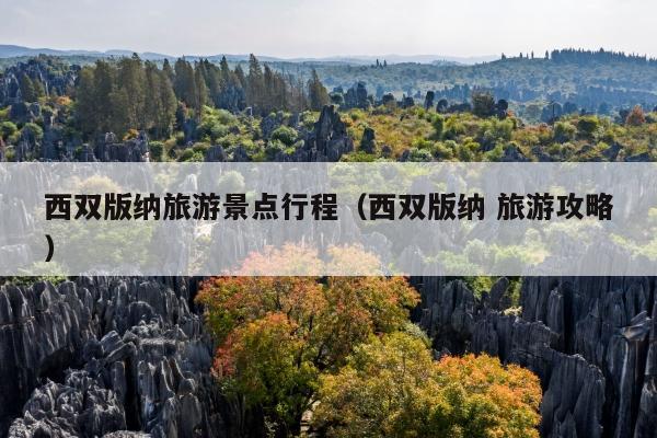 西双版纳旅游景点行程（西双版纳 旅游攻略）