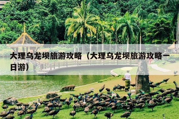 大理乌龙坝旅游攻略（大理乌龙坝旅游攻略一日游）