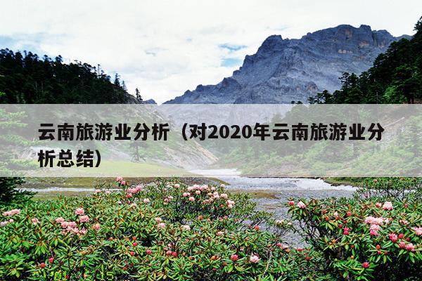 云南旅游业分析（对2020年云南旅游业分析总结）