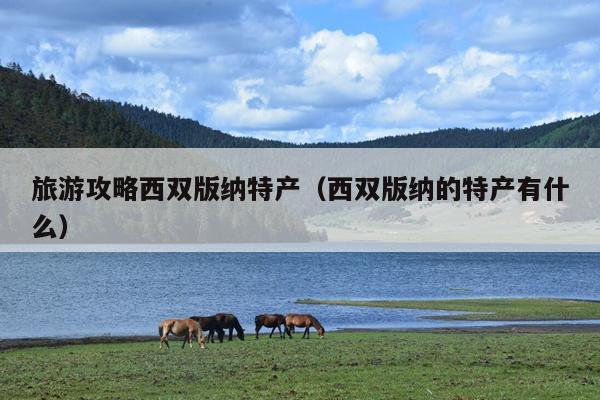 旅游攻略西双版纳特产（西双版纳的特产有什么）