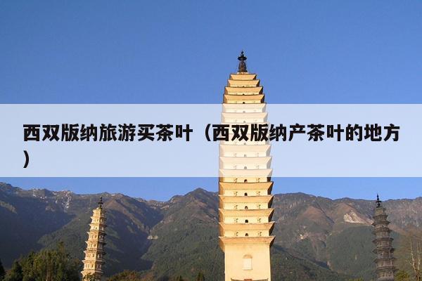 西双版纳旅游买茶叶（西双版纳产茶叶的地方）