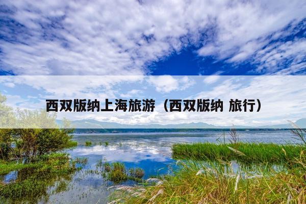 西双版纳上海旅游（西双版纳 旅行）