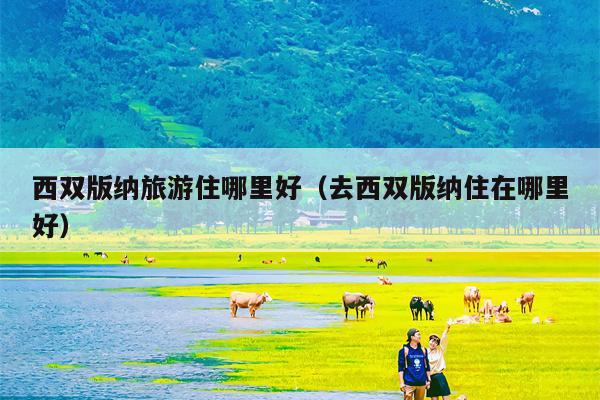 西双版纳旅游住哪里好（去西双版纳住在哪里好）