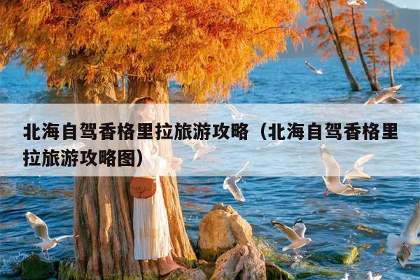 北海自驾香格里拉旅游攻略（北海自驾香格里拉旅游攻略图）