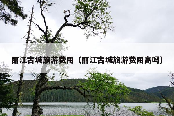 丽江古城旅游费用（丽江古城旅游费用高吗）
