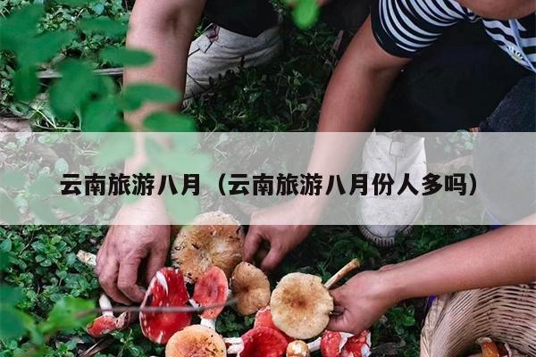云南旅游八月（云南旅游八月份人多吗）