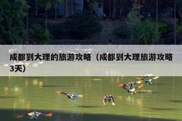 成都到大理的旅游攻略（成都到大理旅游攻略3天）