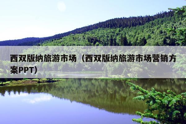 西双版纳旅游市场（西双版纳旅游市场营销方案PPT）