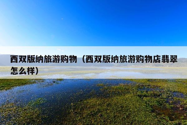 西双版纳旅游购物（西双版纳旅游购物店翡翠怎么样）