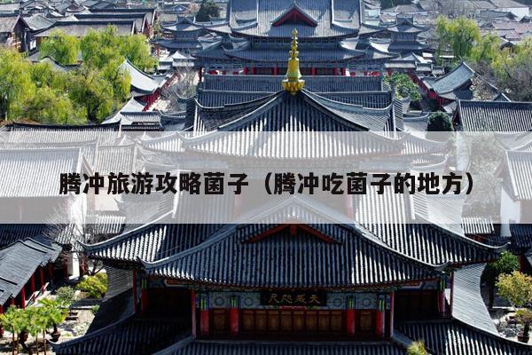 腾冲旅游攻略菌子（腾冲吃菌子的地方）