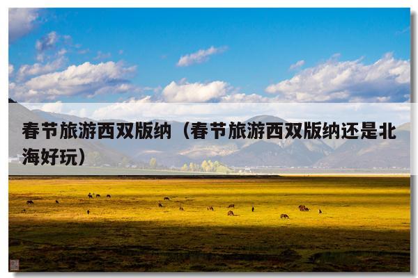 春节旅游西双版纳（春节旅游西双版纳还是北海好玩）