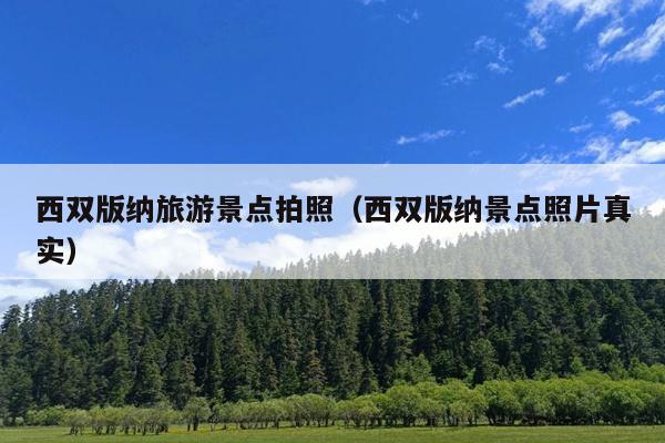 西双版纳旅游景点拍照（西双版纳景点照片真实）