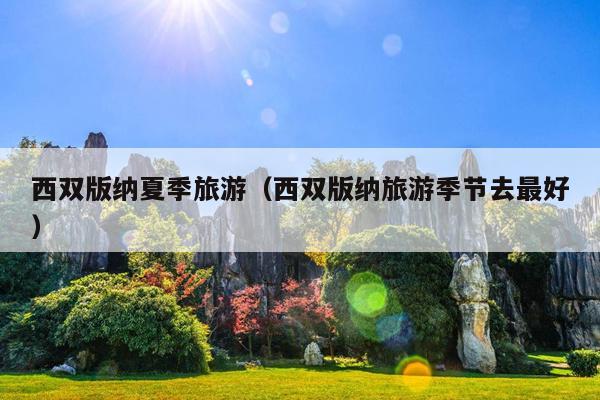 西双版纳夏季旅游（西双版纳旅游季节去最好）