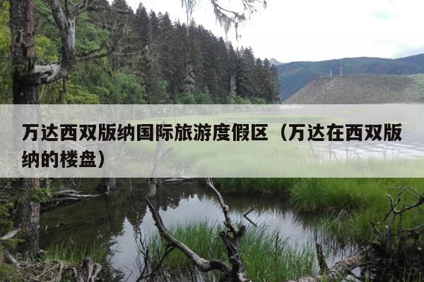 万达西双版纳国际旅游度假区（万达在西双版纳的楼盘）