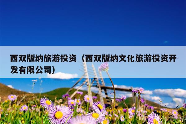 西双版纳旅游投资（西双版纳文化旅游投资开发有限公司）